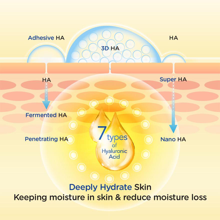 Picture of Rohto Mentholatum Hada Labo Gokujyun Premium Lotion (2020 Edition) 170ml